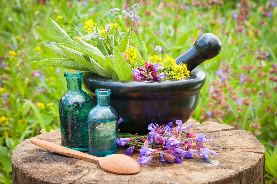 How Essential Oils are Made